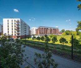 Wrocław, Stare Miasto