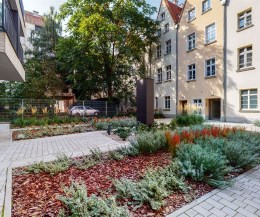 Wrocław, Stare Miasto
